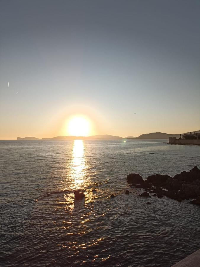Appartamento Isola Catalana Alghero Eksteriør bilde